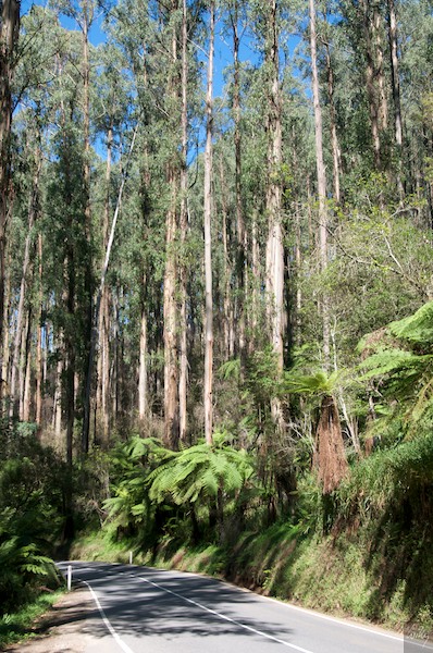 AustraliaEast 10  124